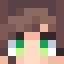 Nroaj skin