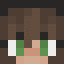 SilviaGames skin